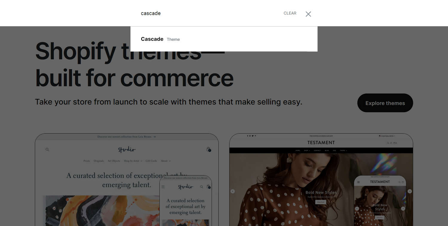 Shopify Theme store's search field.