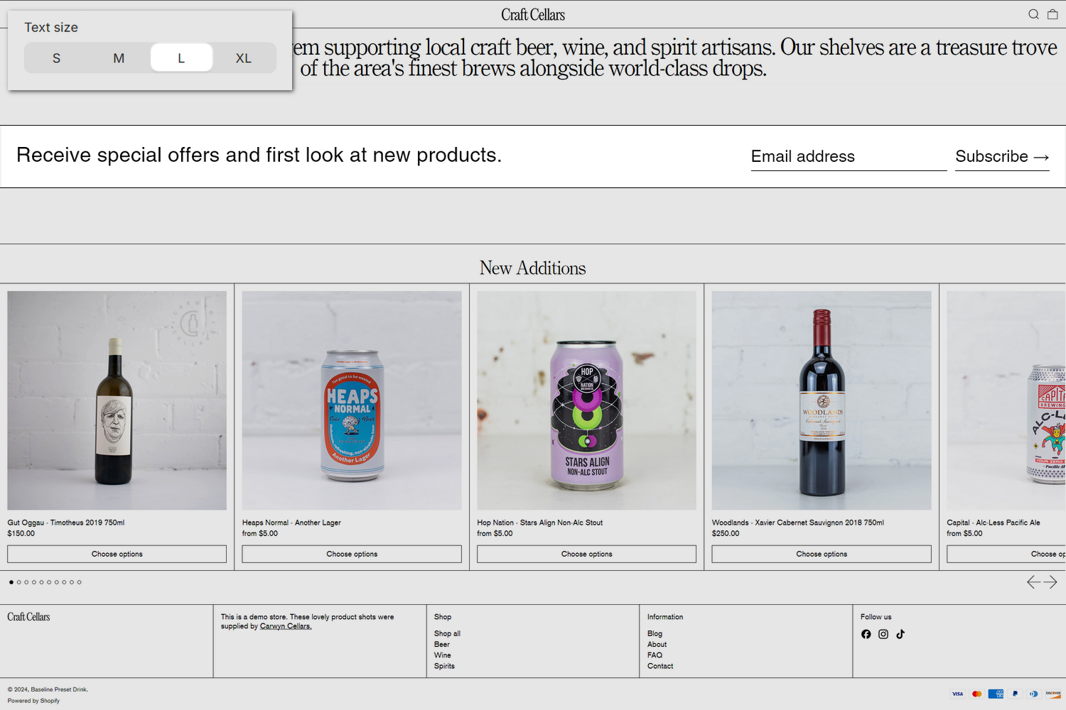 An example Newsletter section on a store's home page.