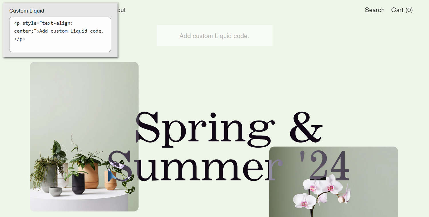 An example Custom liquid section on a store's home page.