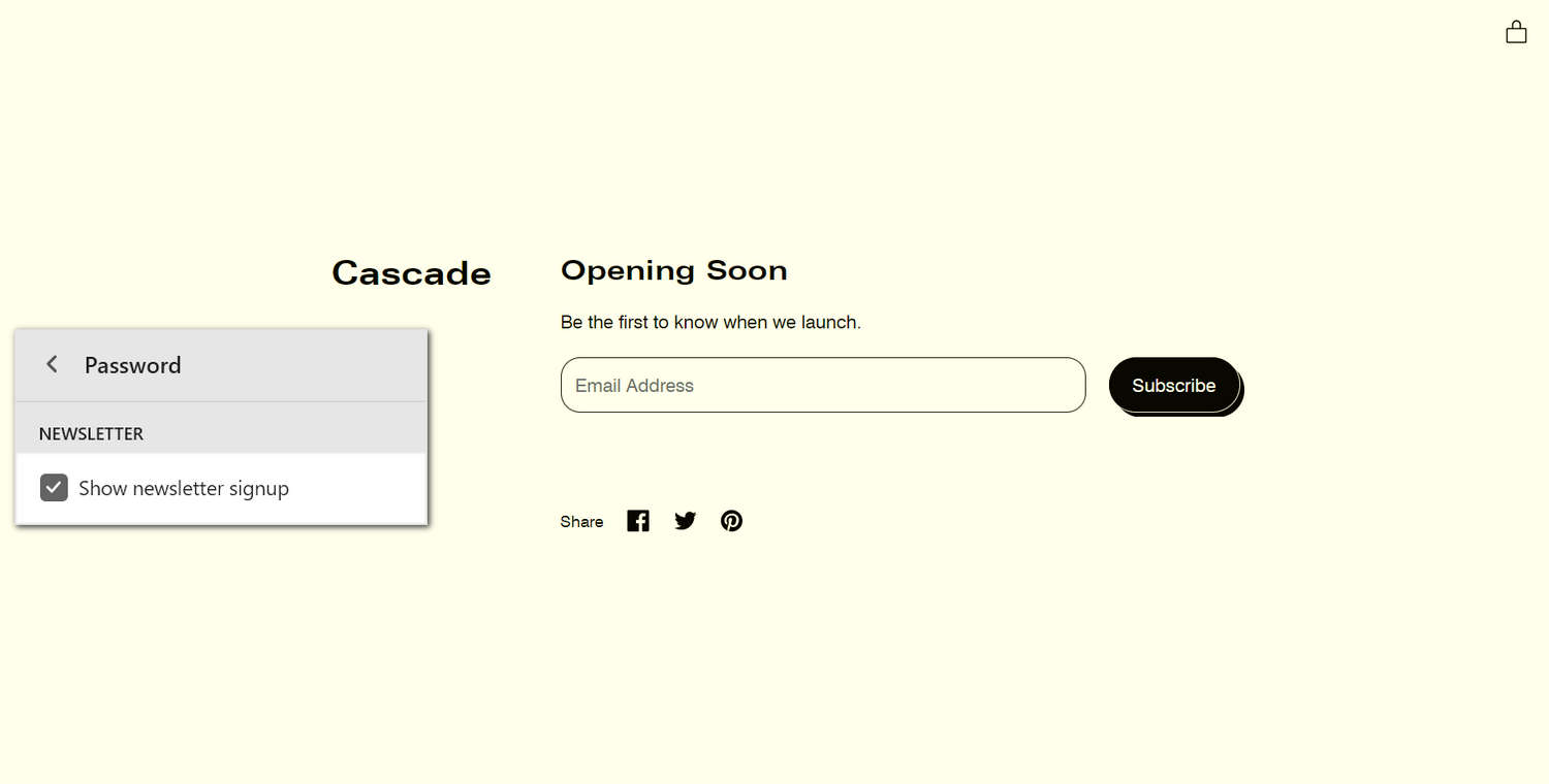 An example Password section on a store's Password page.