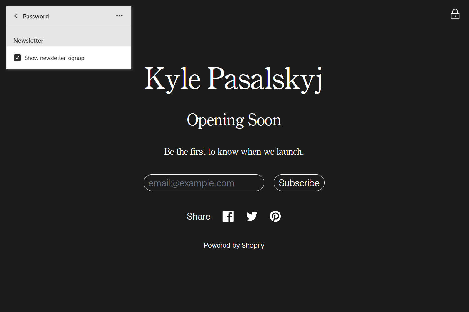 An example Password section on a store's Password page.
