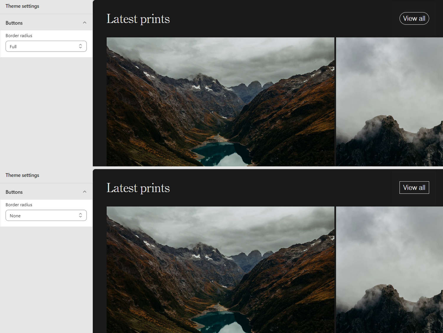 An example store's homepage with the Theme settings's Buttons menu open in Theme editor.