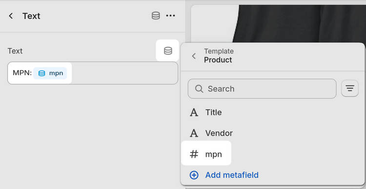 The Text block settings in the Theme editor with an added metafield.