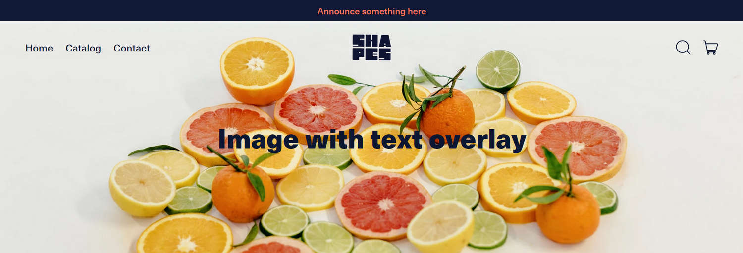 An example Image with text overlay section on a store's Homepage.