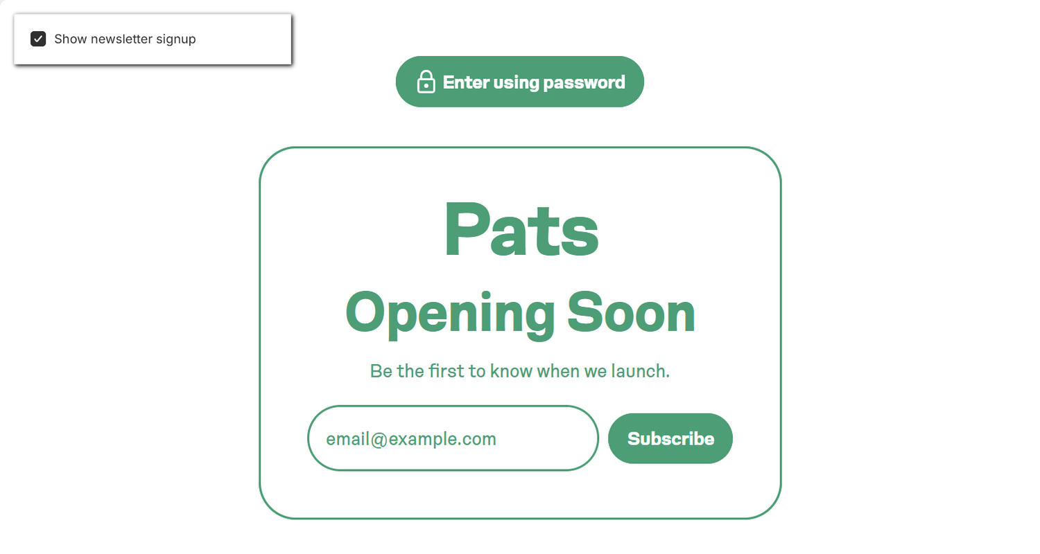 A Password section on a store's Password page in Theme editor.