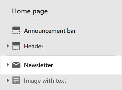 The Newsletter section selected in Theme editor.