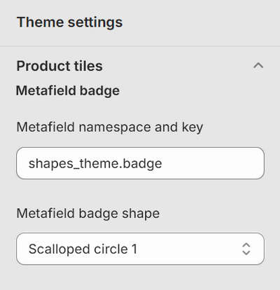 An example metafield definition in Theme settings.