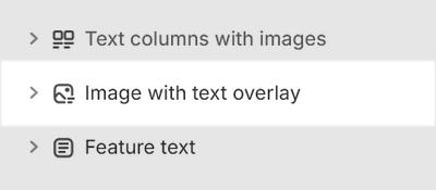 The Image with text overlay section selected in Theme editor.