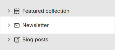 The Newsletter section selected in Theme editor.