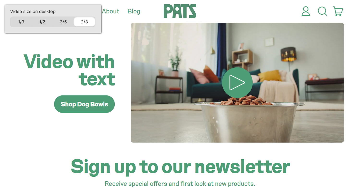 A  section on a store's home page in Theme editor.